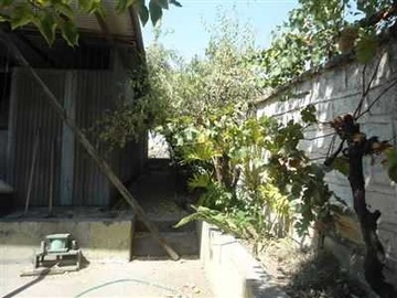 Imagen 11