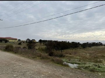 Imagen 5