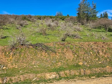 Venta / Terreno / Pencahue