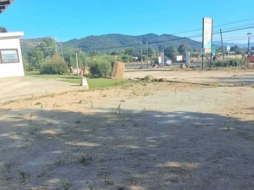Imagen 5