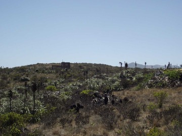 Venta / Terreno / Petorca