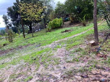 Venta / Terreno / Pichidegua