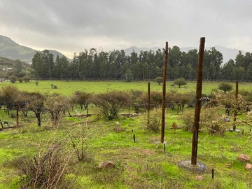 Venta / Terreno / Pichidegua
