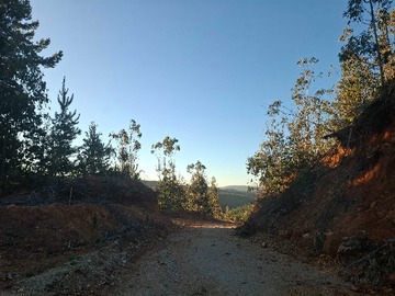 Venta / Terreno / Pichilemu