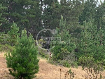 Imagen 8