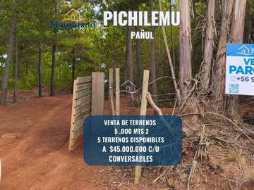 Venta / Terreno / Pichilemu