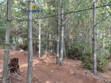 Imagen 8