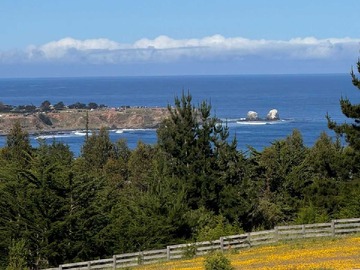 Venta / Terreno / Pichilemu