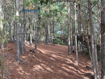 Imagen 14