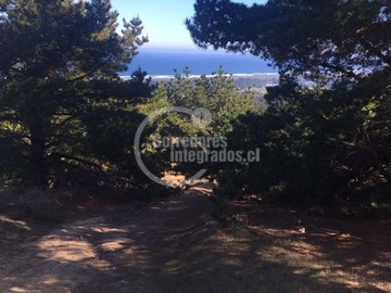 Venta / Terreno / Pichilemu