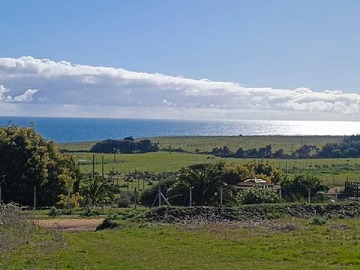 Venta / Terreno / Pichilemu