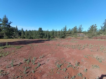 Venta / Terreno / Pichilemu