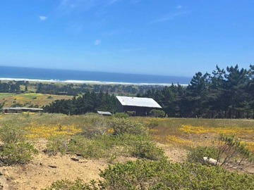 Venta / Terreno / Pichilemu