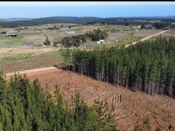 Venta / Terreno / Pichilemu