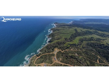 Venta / Terreno / Pichilemu