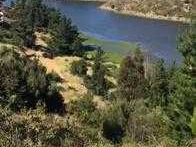 Imagen 19
