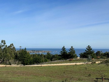 Venta / Terreno / Pichilemu
