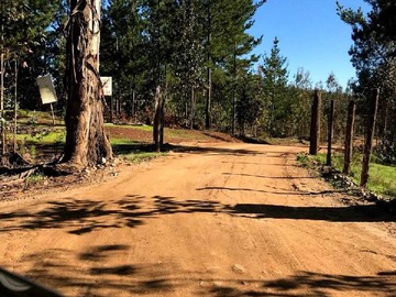 Venta / Terreno / Pichilemu
