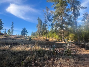 Venta / Terreno / Pichilemu
