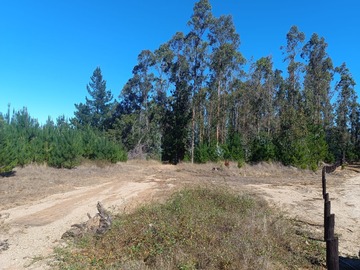 Venta / Terreno / Pichilemu