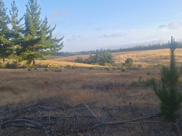Venta / Terreno / Pichilemu