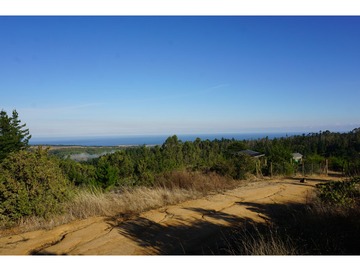 Vista y camino aledaño