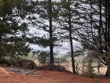 Venta / Terreno / Pichilemu