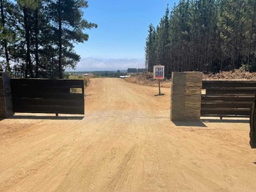 Venta / Terreno / Pichilemu