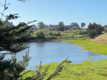 Venta / Terreno / Pichilemu