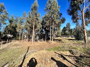 Venta / Terreno / Pichilemu