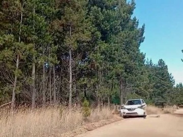 Venta / Terreno / Pichilemu