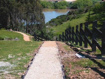 Imagen 5