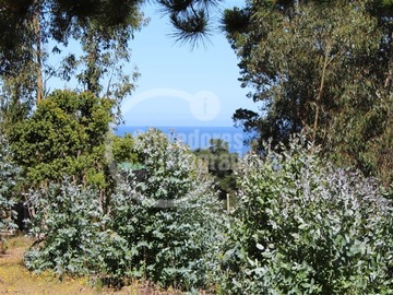 Venta / Terreno / Pichilemu