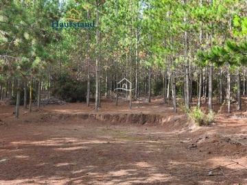 Imagen 11