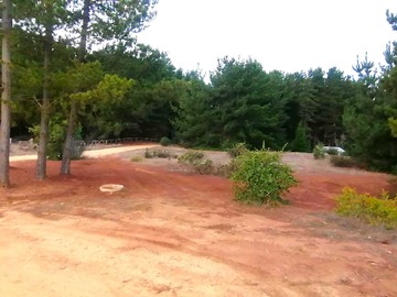 Venta / Terreno / Pichilemu