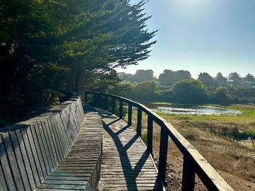 Venta / Terreno / Pichilemu