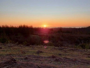 Venta / Terreno / Pichilemu