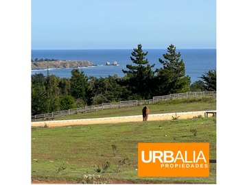 Venta / Terreno / Pichilemu