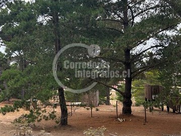 Imagen 17