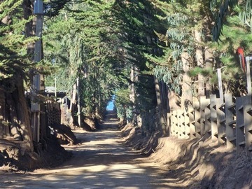 Venta / Terreno / Pichilemu