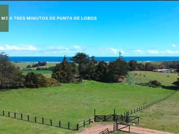 Venta / Terreno / Pichilemu