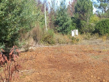 Venta / Terreno / Pinto