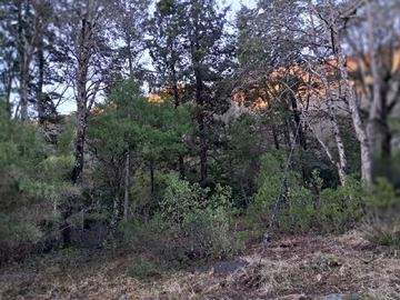 Venta / Terreno / Pinto