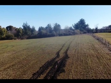 Venta / Terreno / Pinto