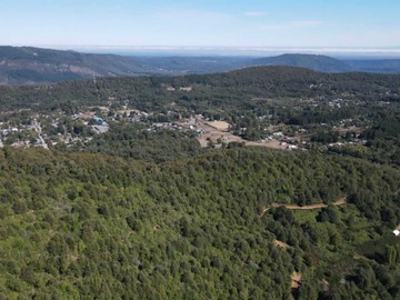 Venta / Terreno / Pinto