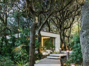 Imagen 8