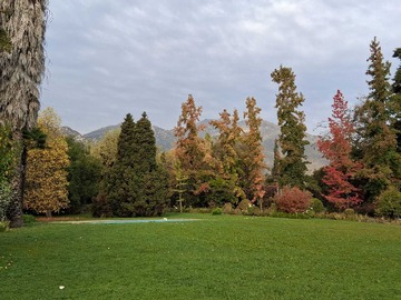 Venta / Terreno / Pirque