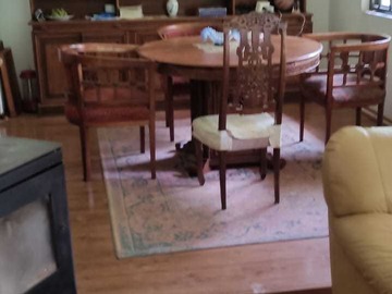 Venta / Terreno / Pirque