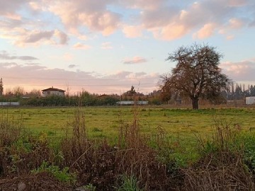 Venta / Terreno / Pirque