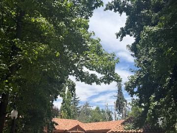 Venta / Terreno / Pirque